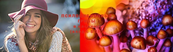ПСИЛОЦИБИНОВЫЕ ГРИБЫ Армянск